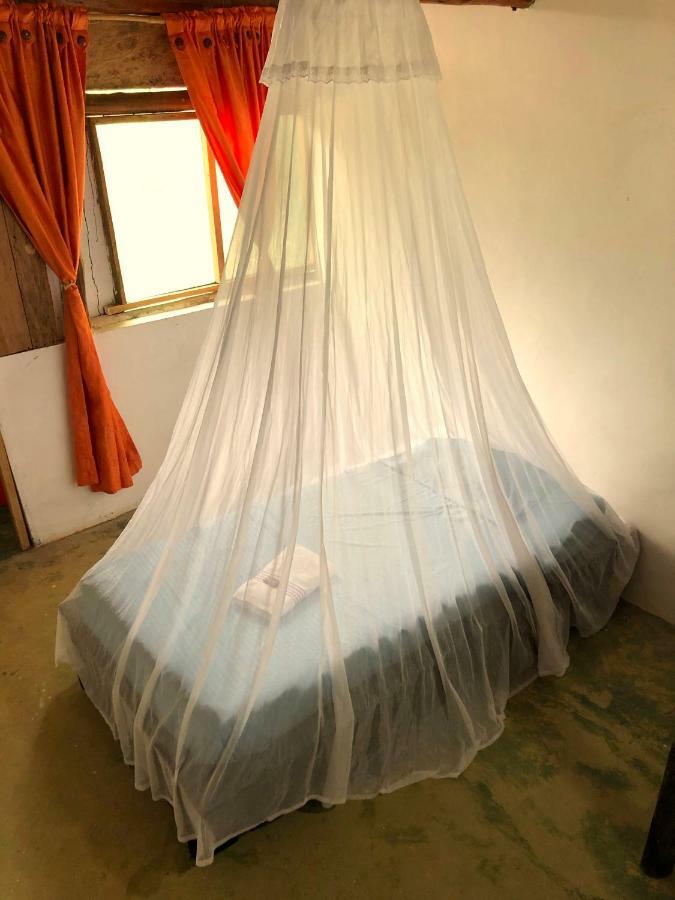 Moon Wind Tayrona Hostel El Zaino Extérieur photo